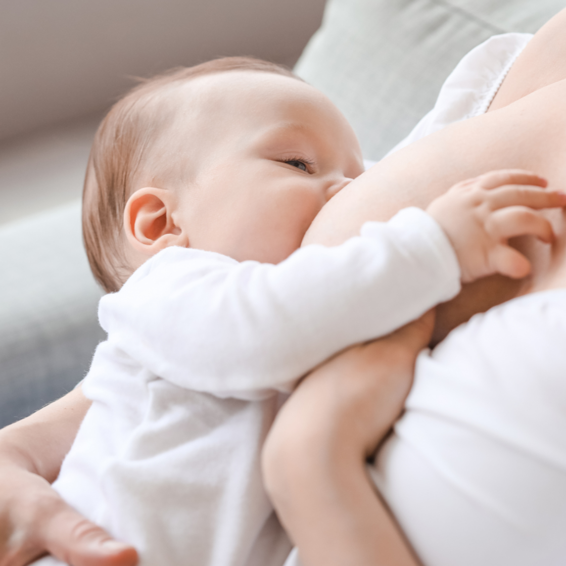 Allattamento e relazione