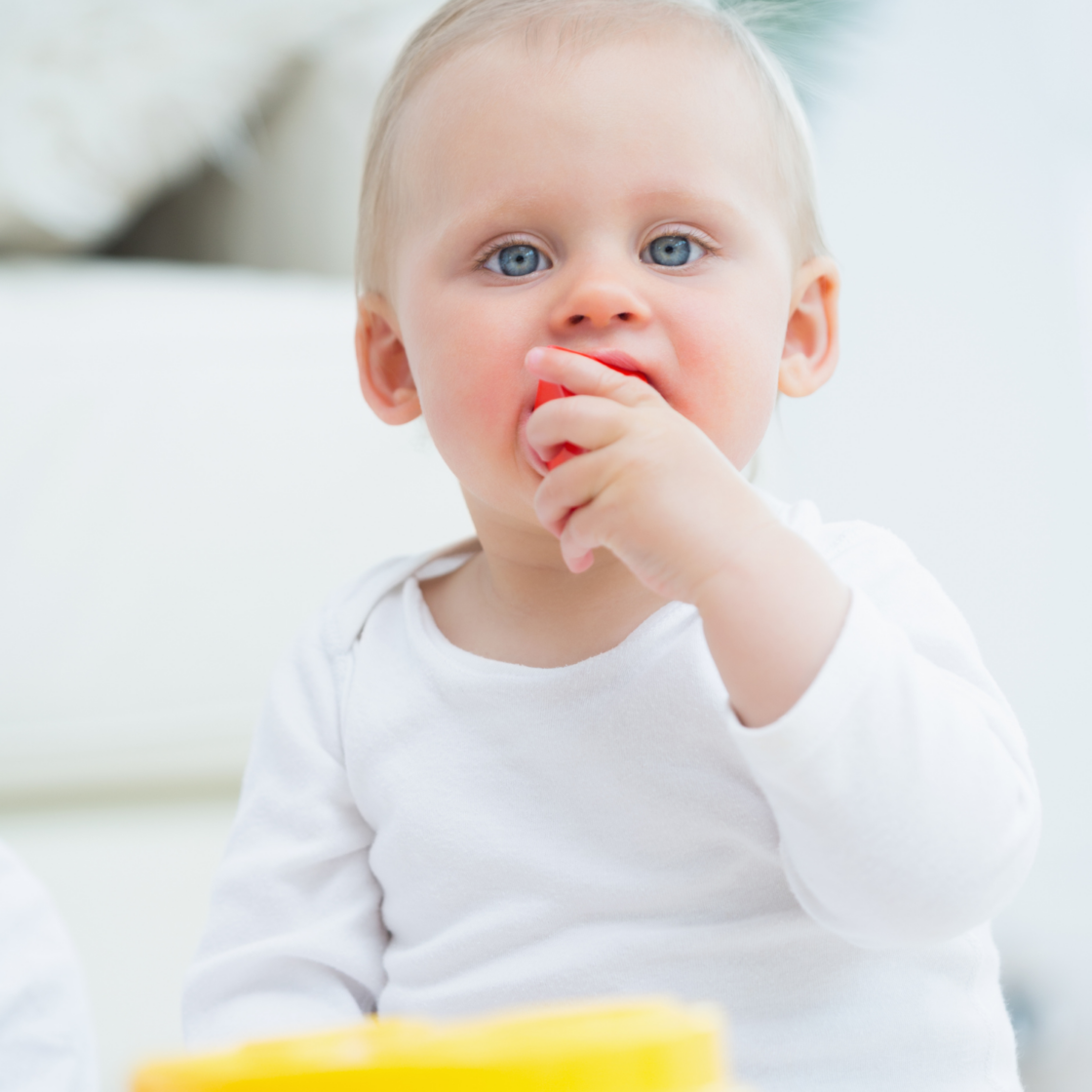 Il gioco esplorativo e la scoperta dei sensi