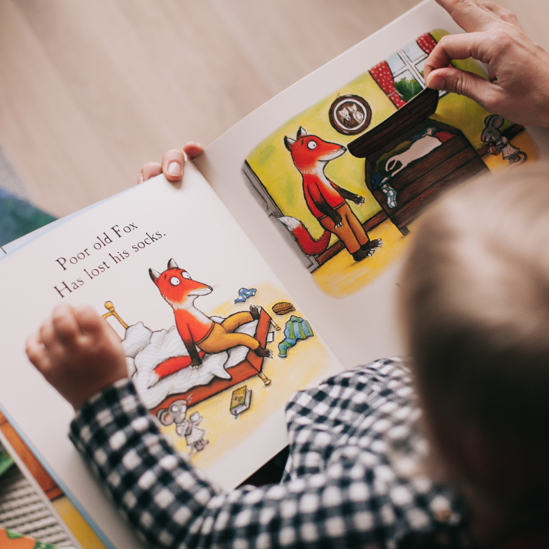 La lettura da 6 a 12 mesi